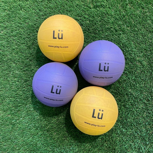 [KIT-BALL] Ensemble de ballons (10) et un filet